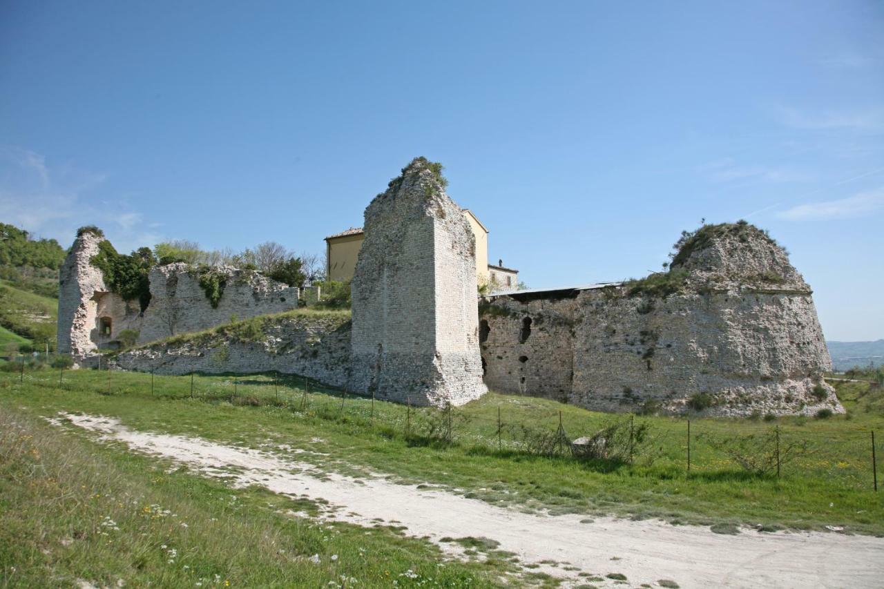 Il Cavallino Hotel Fossombrone Exterior foto